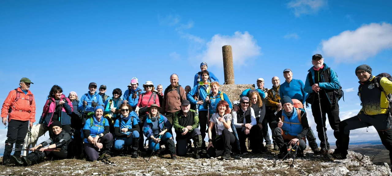 WhatsApp Image 2026-02-10 at 15.41.45